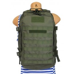 TI-RK-ShM-17 Assault small backpack, OLIVE
