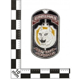 Steel dog-tags - "Security Service", enamel