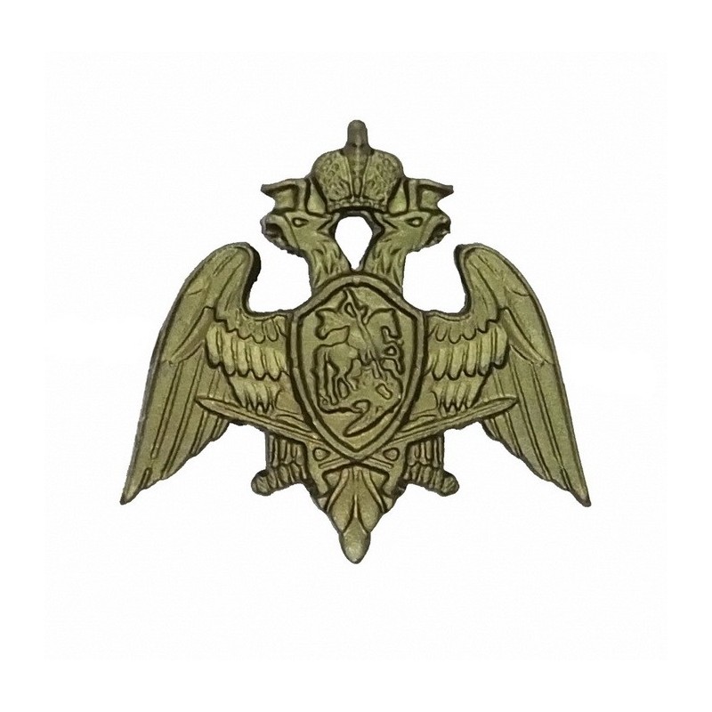 "RosGuard" branch insignia, field