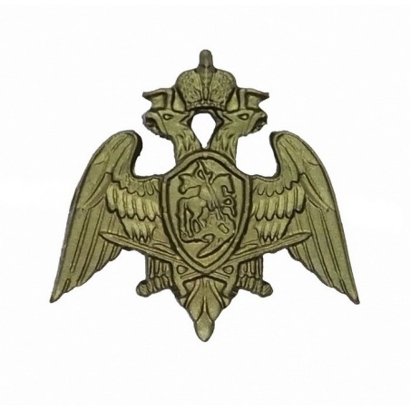 "RosGuard" branch insignia, field