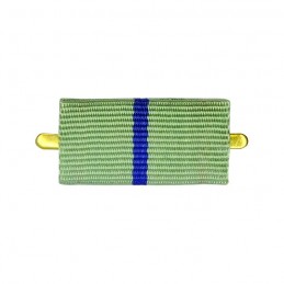 Ribbon of medal "For...
