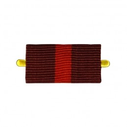 Ribbon of order "Fatherland...