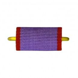 Ribbon of medal "For the...