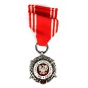 Medal "Siły Zbrojne w Służbie Ojczyzny - X" srebrny