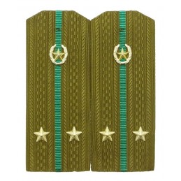 Epaulettes for shirt of the...