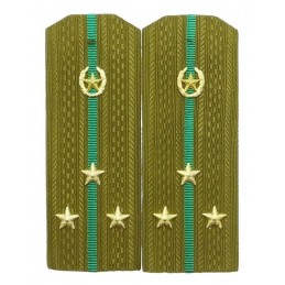 Epaulettes for shirt of the...