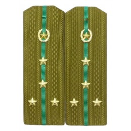 Epaulettes for shirt of the...