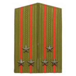 Epaulettes of the colonel...