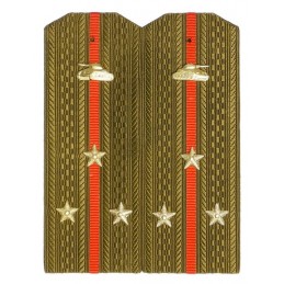 Epaulettes for shirt of the...