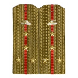 Epaulettes for shirt of the...