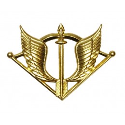 Badge to beret of "Special...
