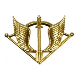 Badge to beret of "Special...