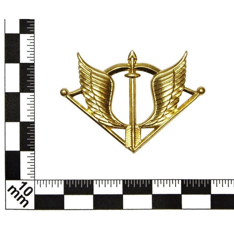 Badge to beret of "Special Purpose Unit" (Spetsnaz)
