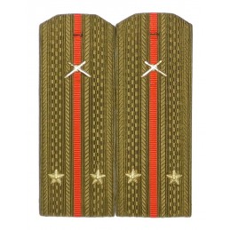 Epaulettes for shirt of the...