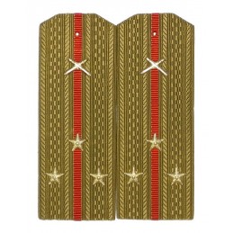 Epaulettes for shirt of the...