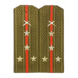 Epaulettes for shirt of the...