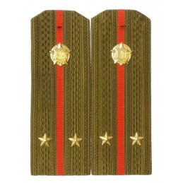 Epaulettes for shirt of the...