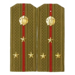 Epaulettes for shirt of the...