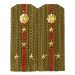 Epaulettes for shirt of the...