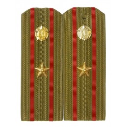 Epaulettes for shirt of the...