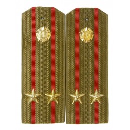 Epaulettes for shirt of the...