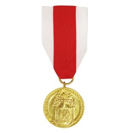 Medal "Za Zasługi dla...