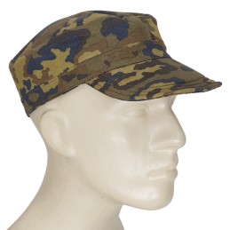 FRP Cap/kepi, Autumn