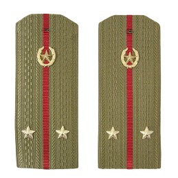 Epaulettes for shirt of the...
