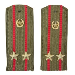 Epaulettes for shirt of the...
