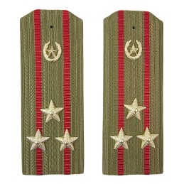 Epaulettes for shirt of the...