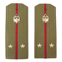 Epaulettes for shirt of the...