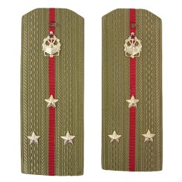 Epaulettes for shirt of the...