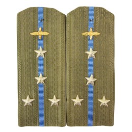 Epaulettes for shirt of the...