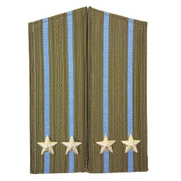 Epaulettes of the junior...