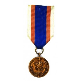 Medal "MSW W służbie narodu...