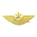 Aviation badge for the cap