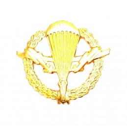 VDV badge - gold