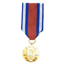 Medal for "Merit in...